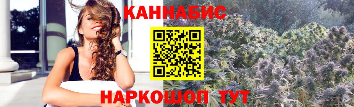 Каннабис сатива  Конопля Bruce Banner  Алушта  Вход с VPN  Бошки Шишки OG Kush 